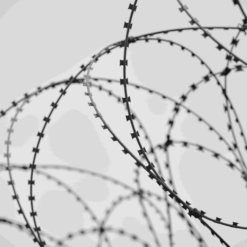 engin akyurt swfnjvq0occ unsplash min